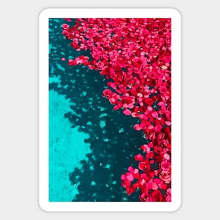 Roses in the pool Sticker